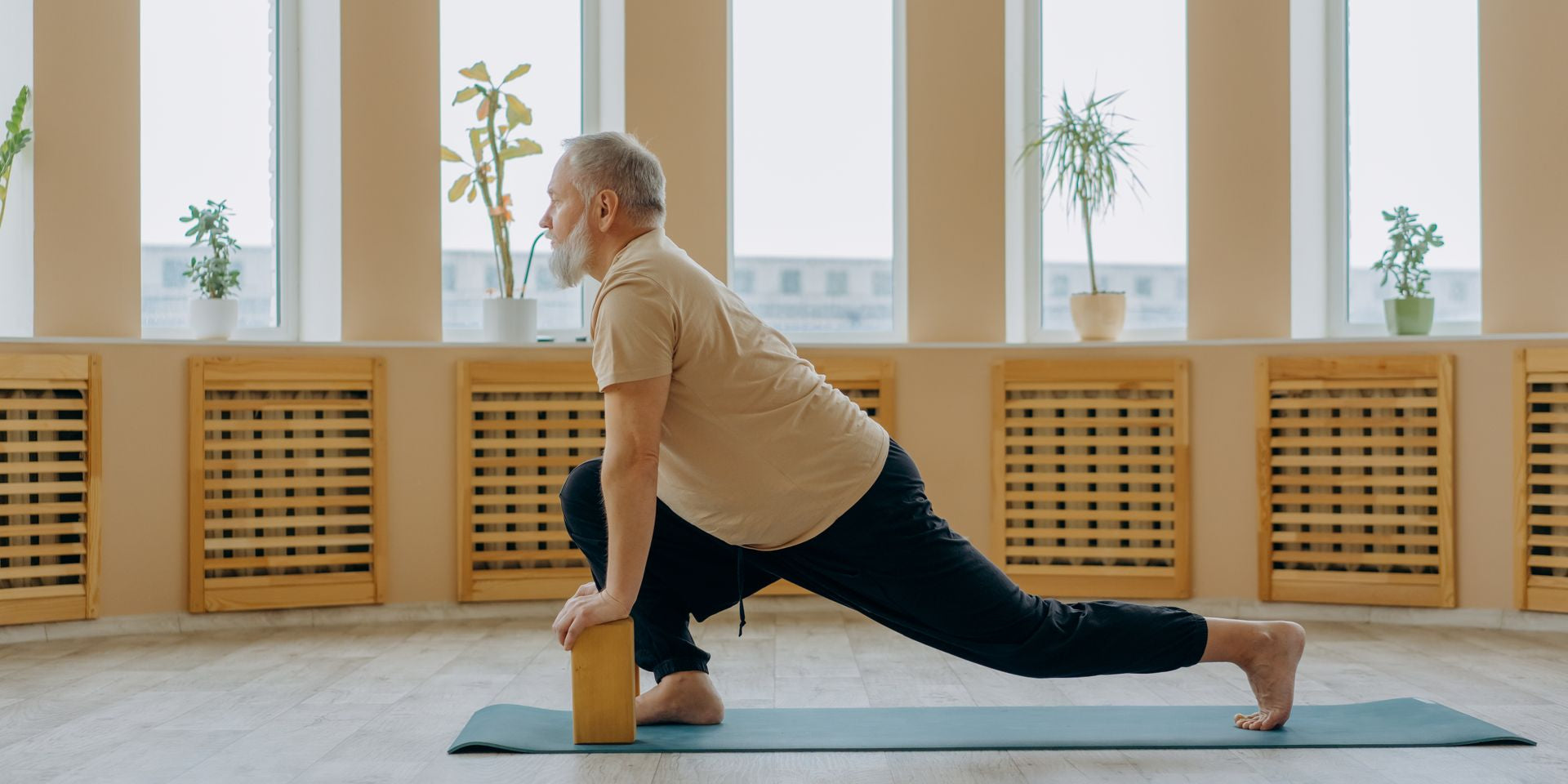Yoga and Ayurveda: A Unified Approach to Holistic Wellbeing